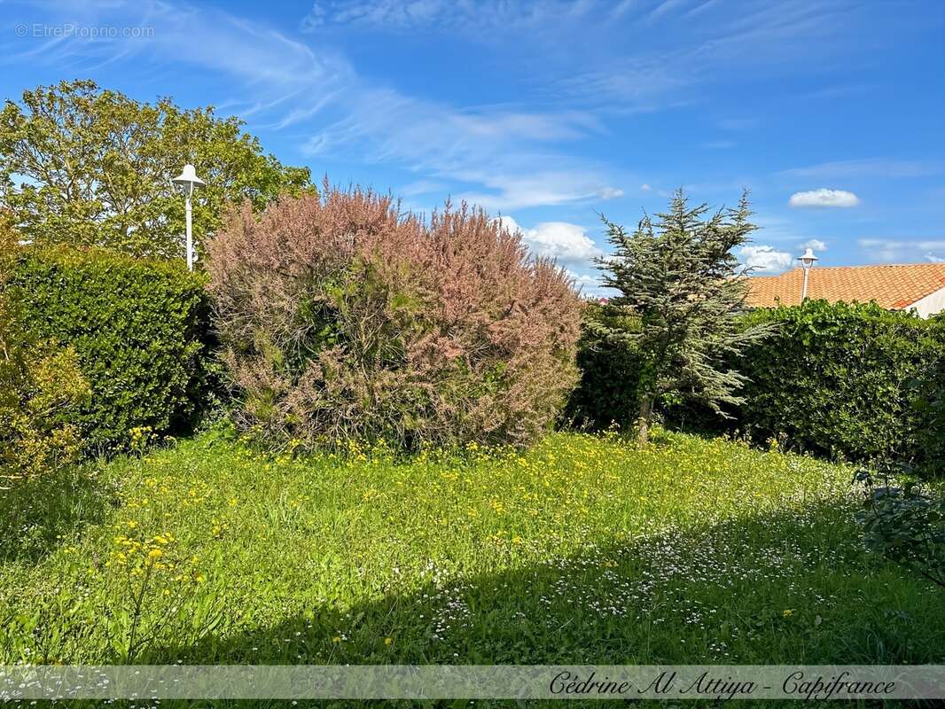 Maison à vendre Châtelaillon-Plage, 4 pièces 84m2 plain-pied, jardin, garage - photo 8