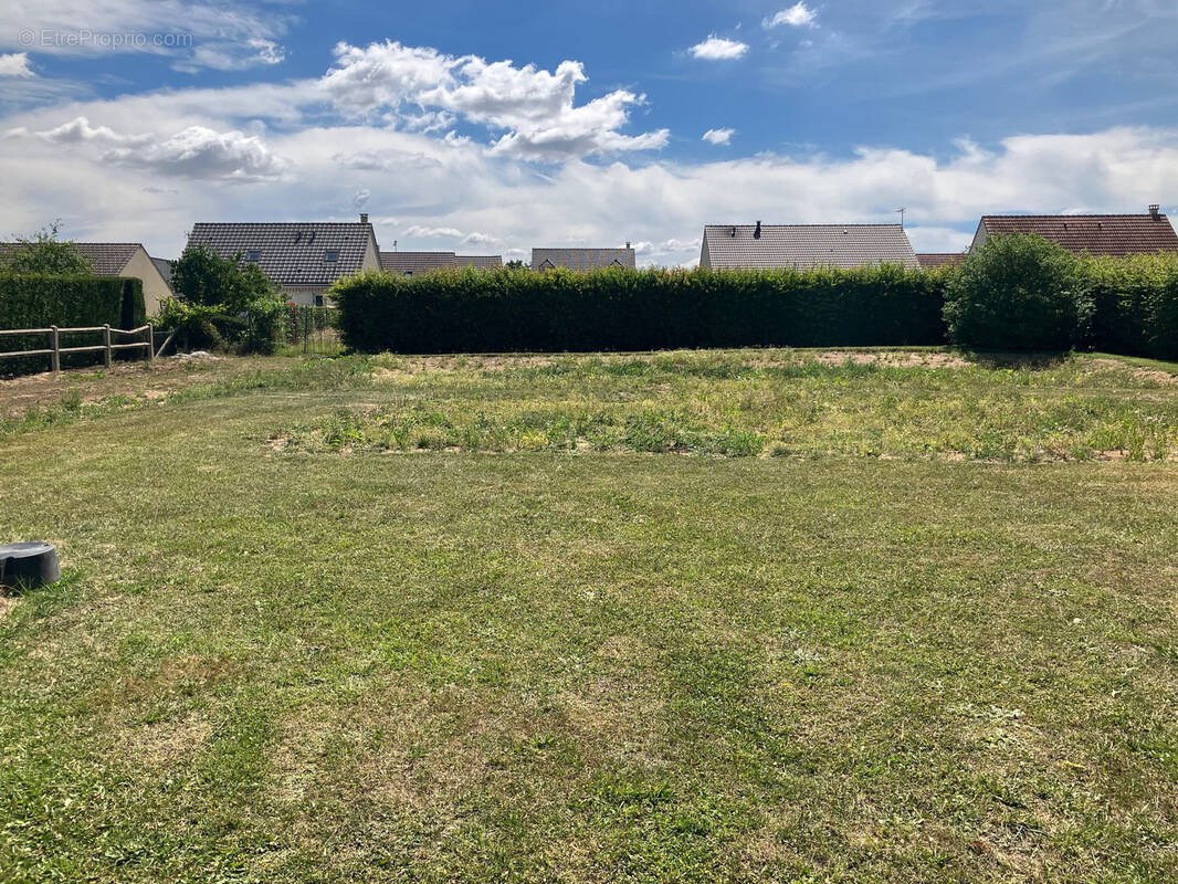 Terrain à CREVECOEUR-LE-GRAND