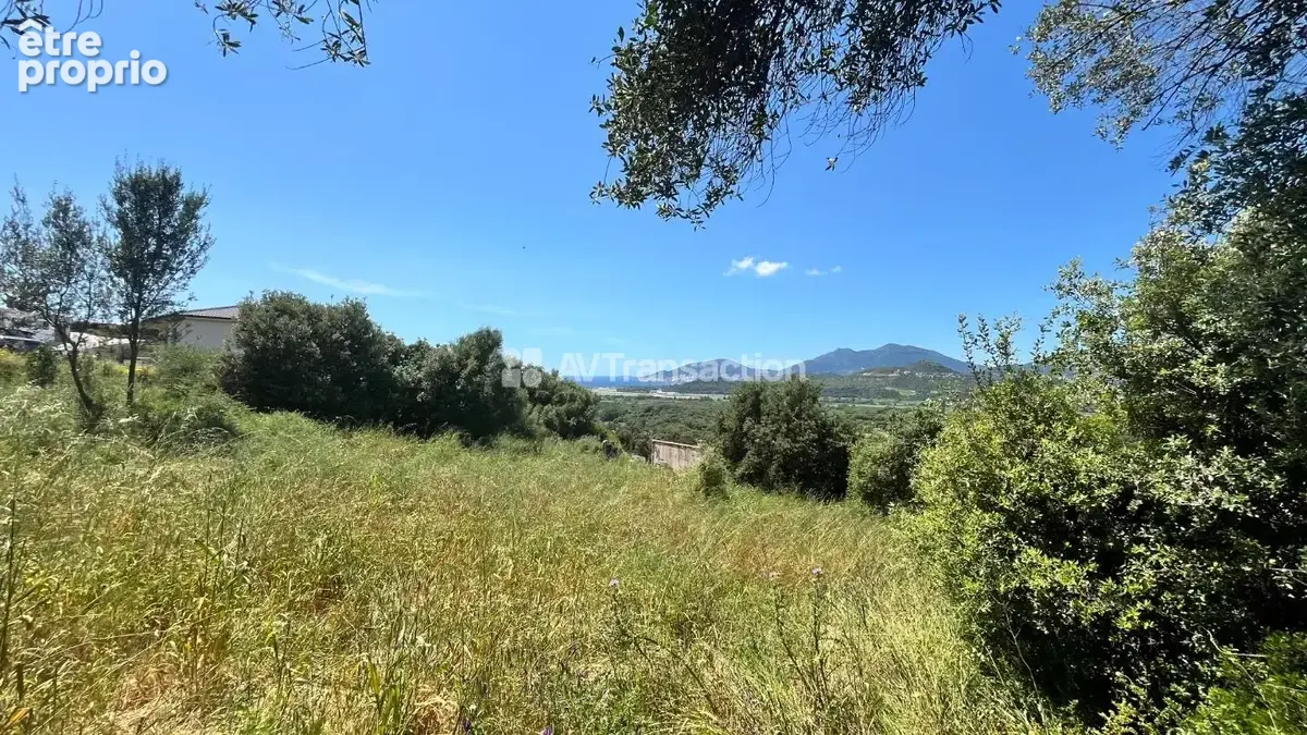 Terrain 1 976 m² à vendre à Bastelicaccia (20129) - photo 18