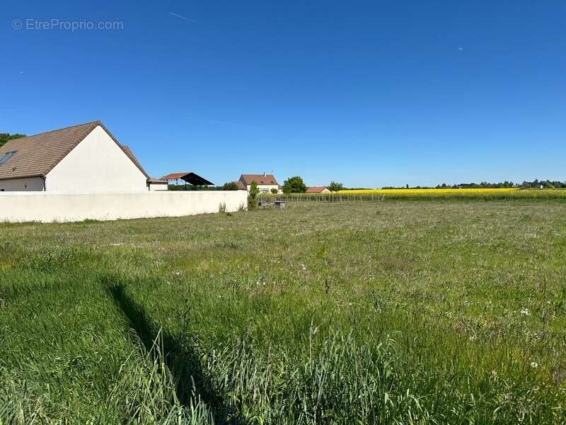 Terrain à POLIGNY