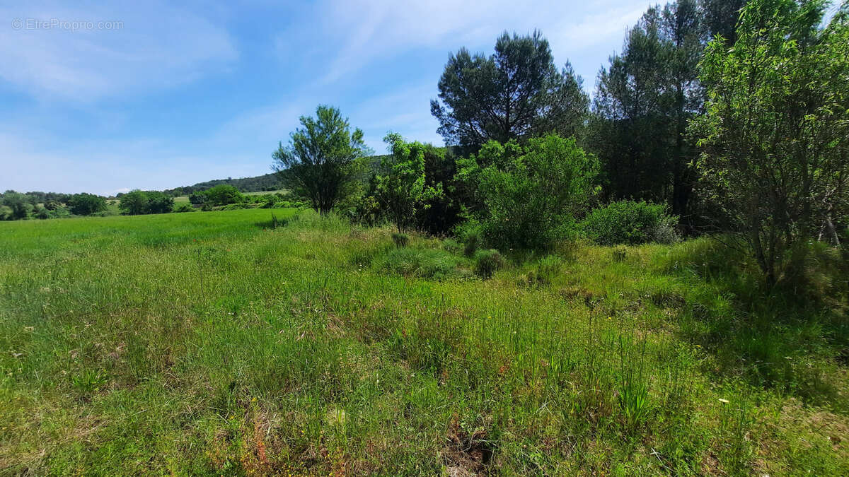 Terrain à MONTMIRAT