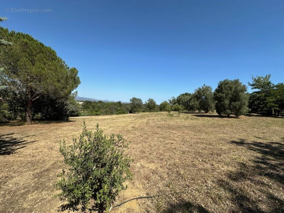 Terrain à ROQUEBRUNE-SUR-ARGENS
