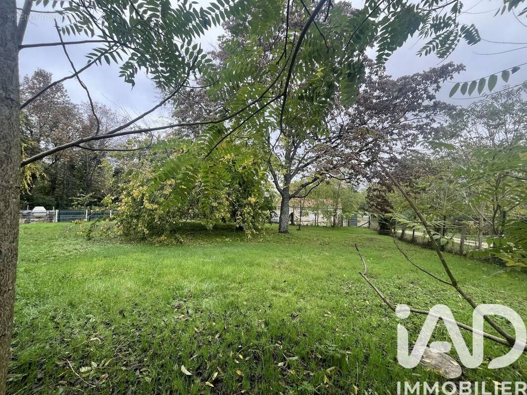 Photo 1 - Terrain à PODENSAC