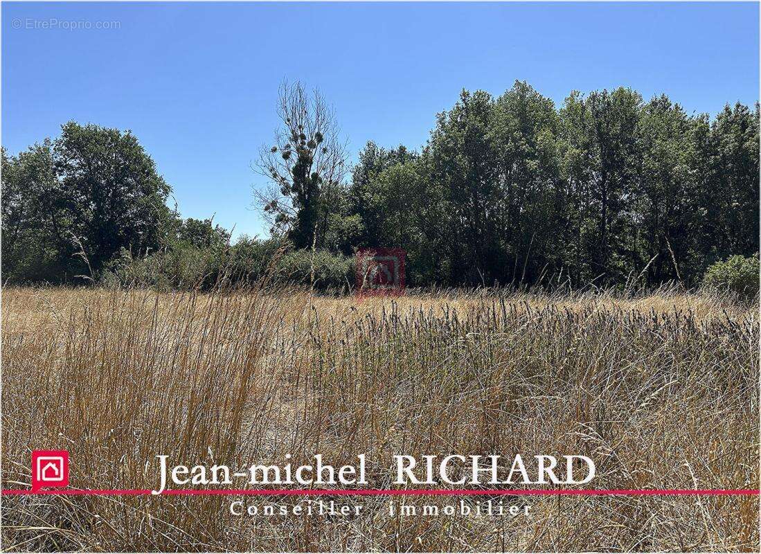 Terrain de loisirs SAULDRE Selles Sur Cher 6000 m2 - photo 8