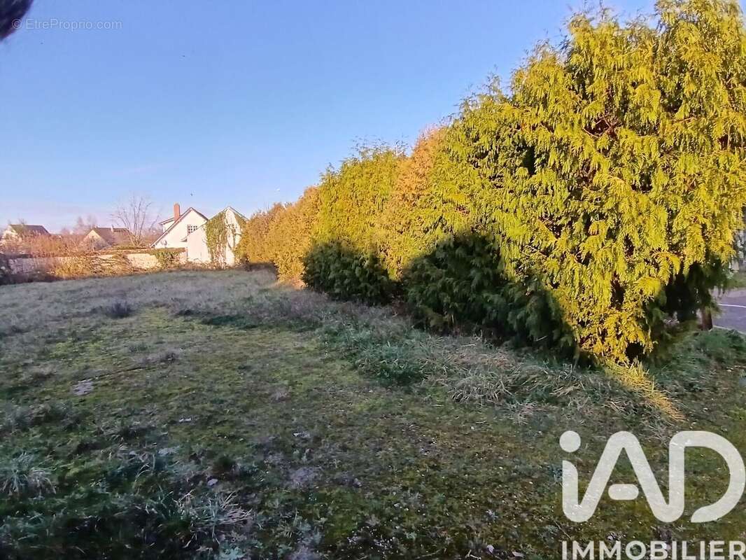 Photo 4 - Terrain à CHICHERY