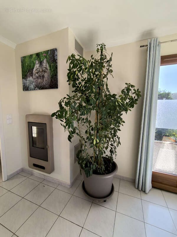 Maison à SAINT-LAURENT-DE-LA-SALANQUE