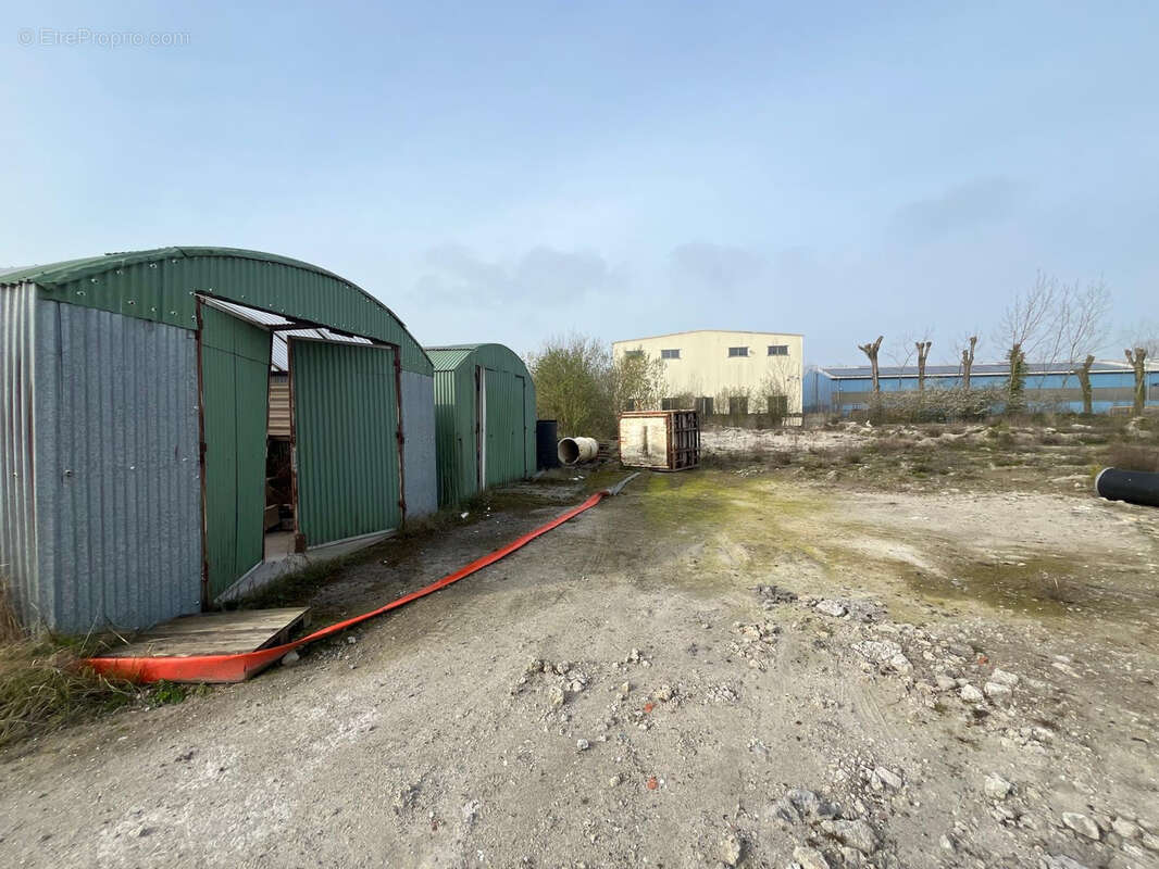 Terrain - 6500 m2 - Dunkerque - photo 7