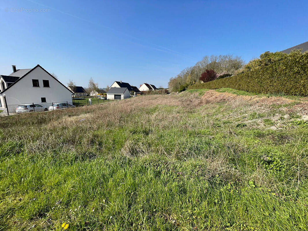 Terrain à OISEMONT