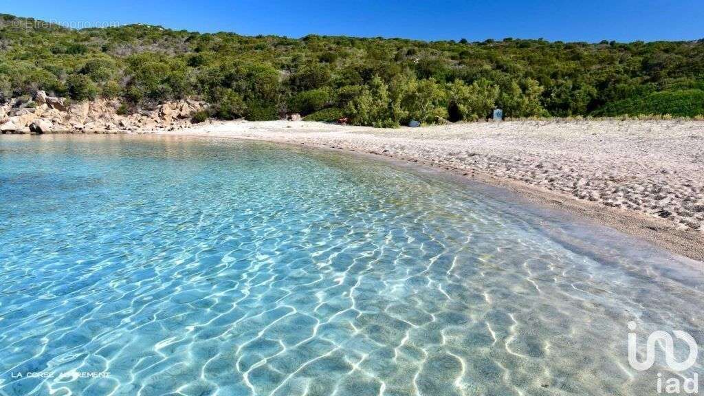 Photo 8 - Appartement à PROPRIANO