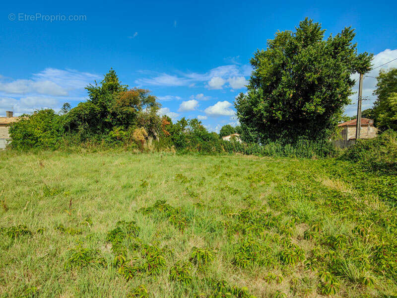 Terrain à SAUZE-VAUSSAIS