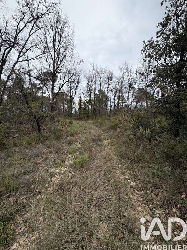 Photo 5 - Terrain à TOURRETTES
