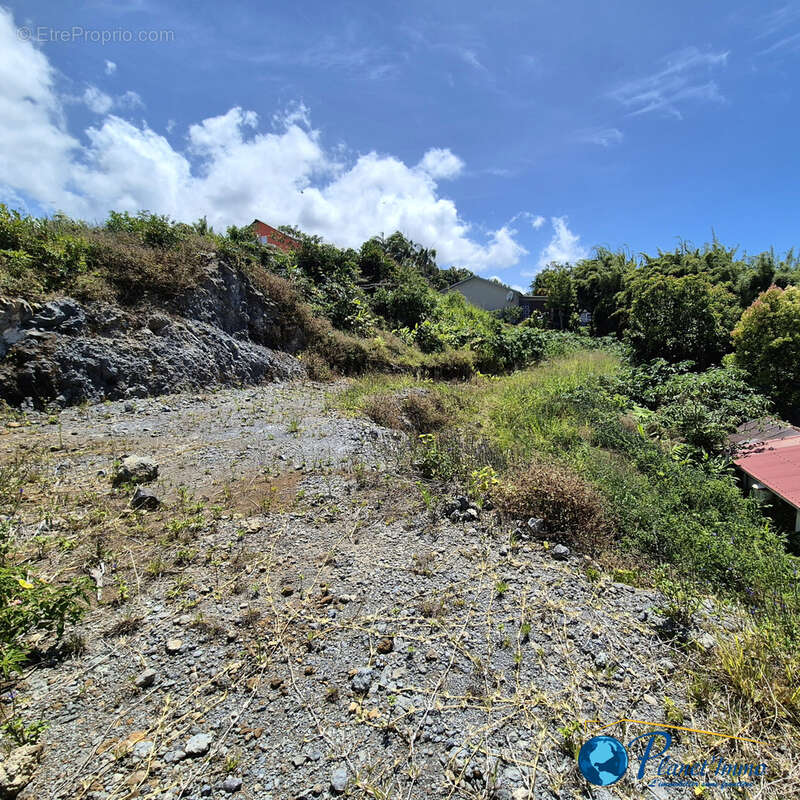 Terrain à SAINT-JOSEPH