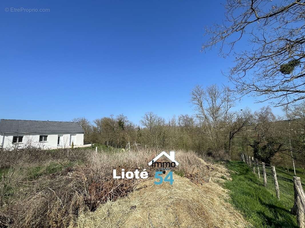 Terrain à GERBEVILLER