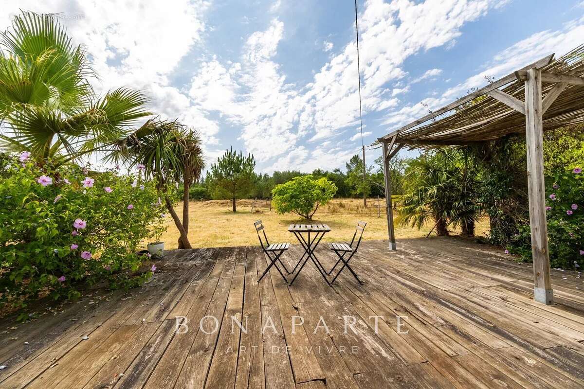 Gaillan-en-médoc : ancienne ferme de 10 hectares à 7 kms des plages océanes - photo 22