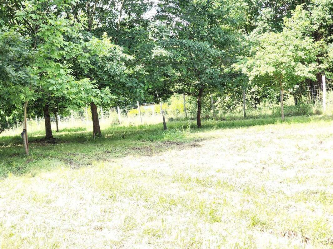 Photo 5 - Terrain à VILLENEUVE-SUR-LOT