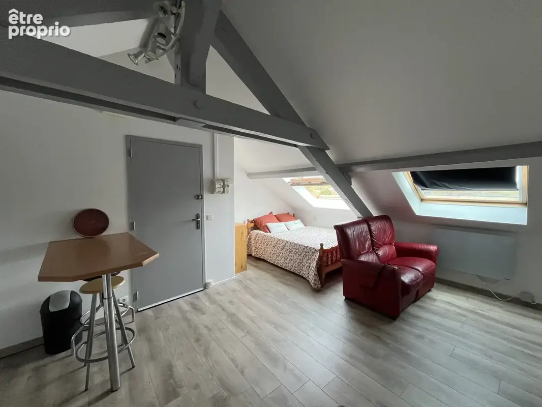 T1 28 m2 entre fac et centre ville - photo 4