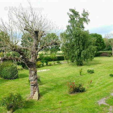 1 n°9 - Maison à FRETTEMEULE