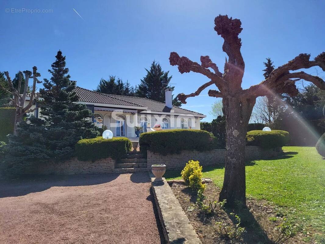 Maison à MACON