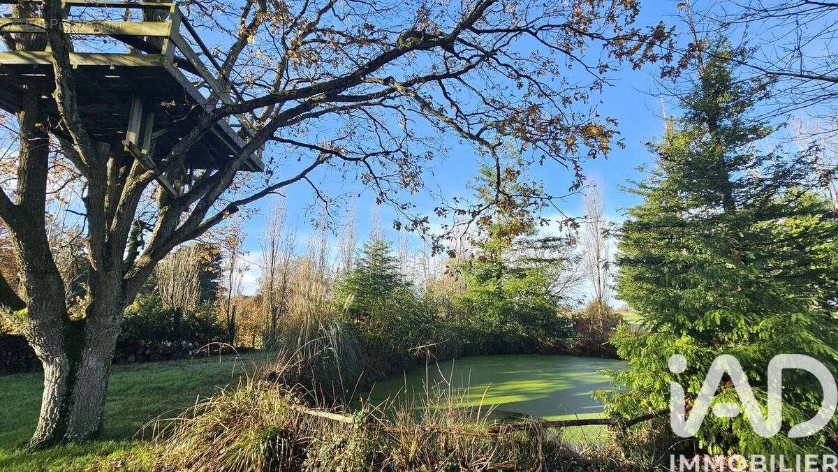 Photo 1 - Maison à DONGES