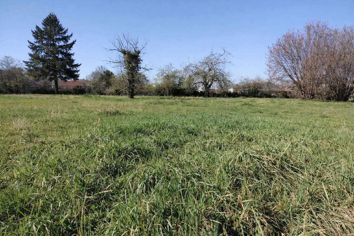 Maison à SAINTE-FLORINE