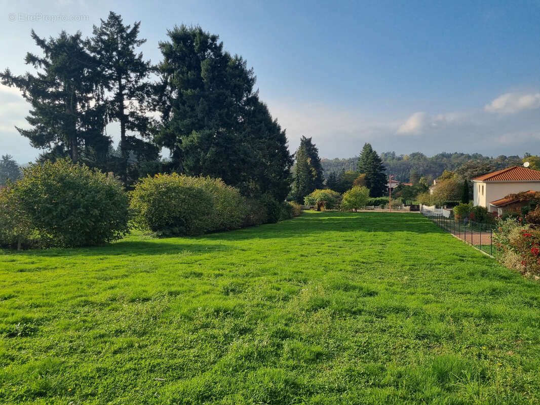 Terrain à COMMELLE-VERNAY