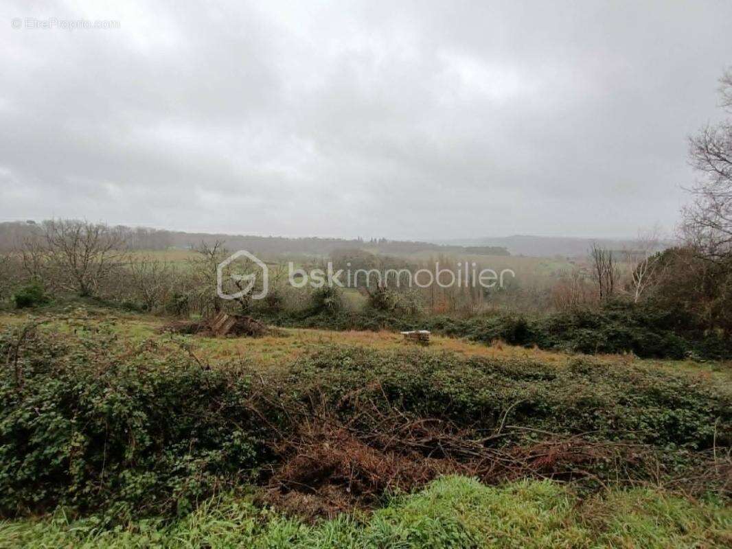Belle Maison Rénovée en 2019 de 120 m2 et Grange de 200 m2 sise sur 3 877 m2 - photo 16
