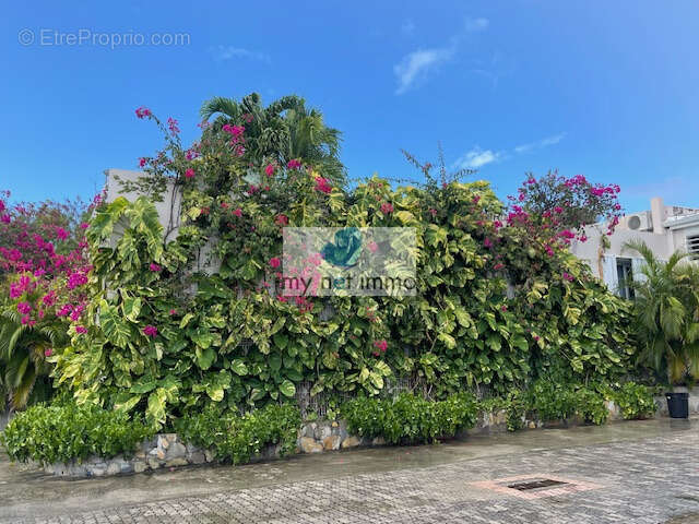 Maison à SAINT-MARTIN