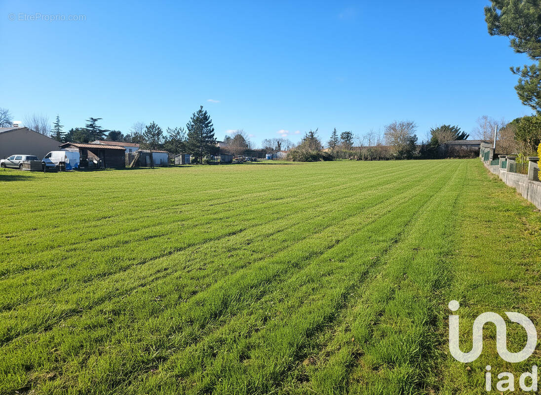 Photo 1 - Terrain à COGNAC