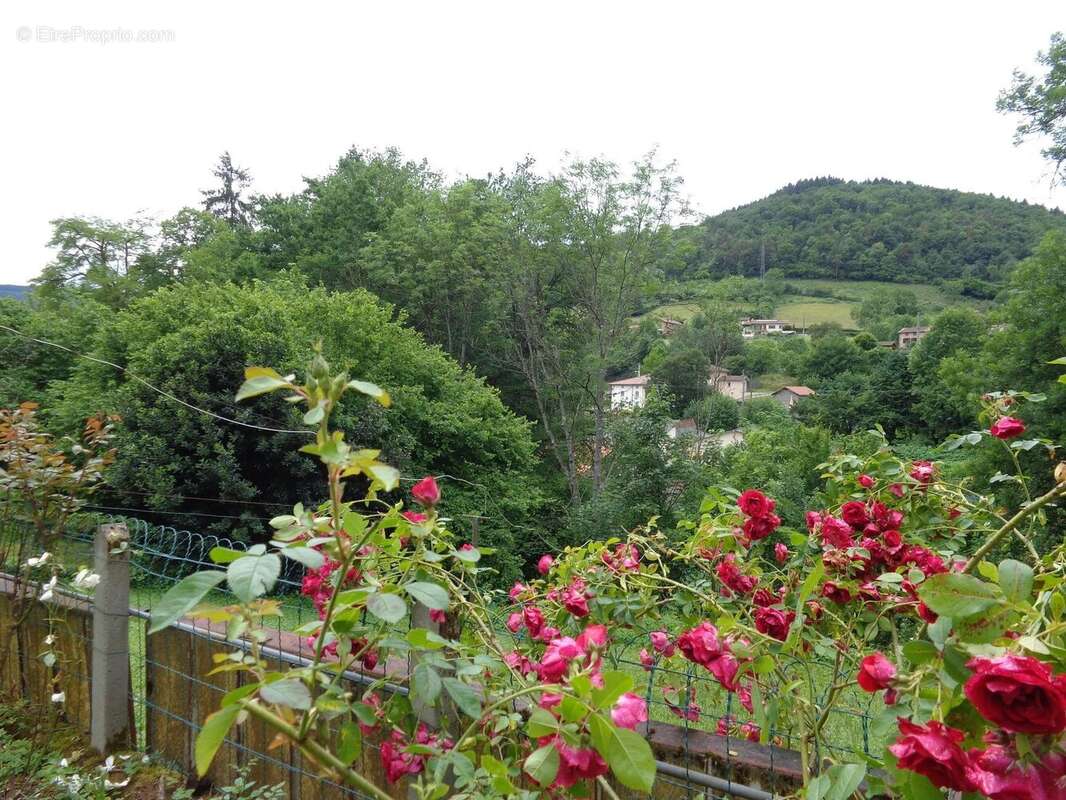 Maison à CHAMBOST-ALLIERES