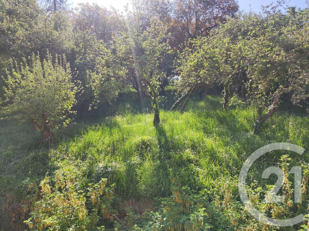 Maison à DAMPIERRE-SOUS-BOUHY