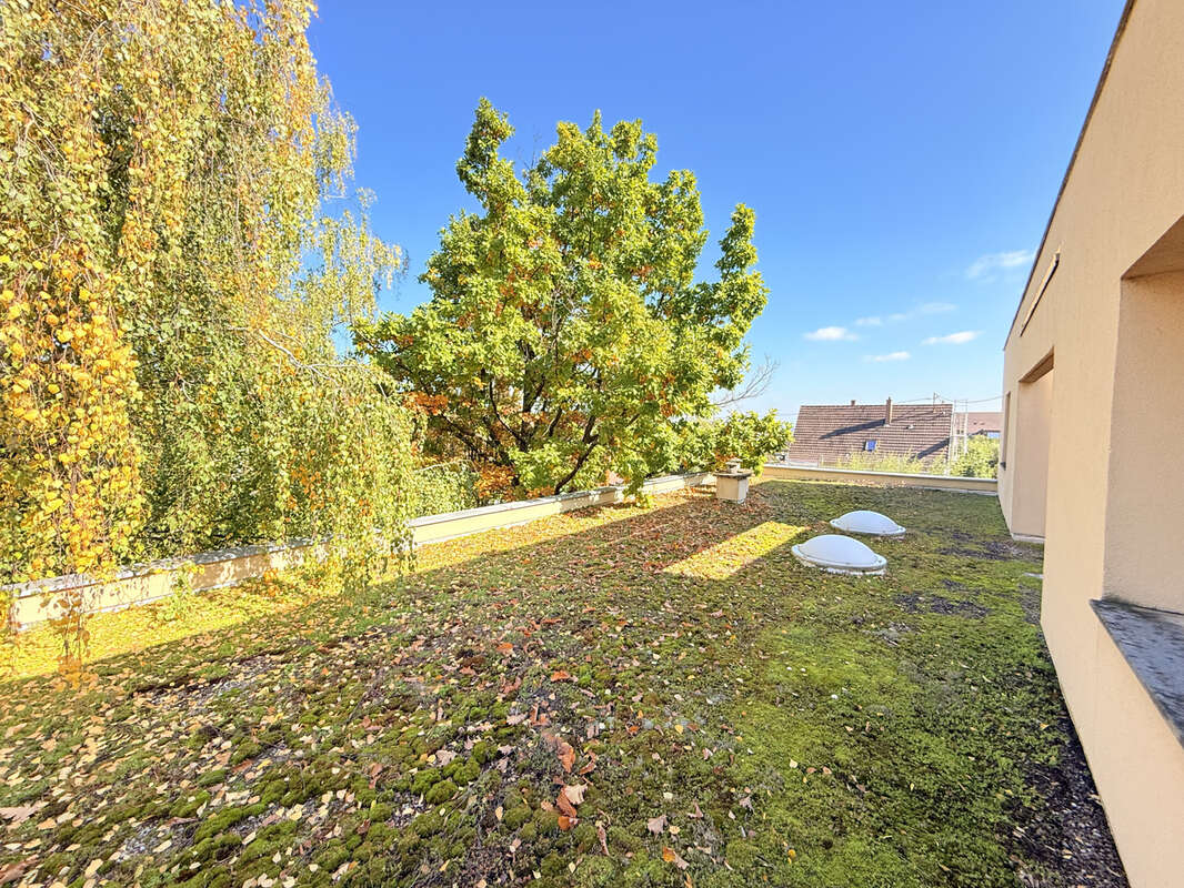 Maison à RIBEAUVILLE