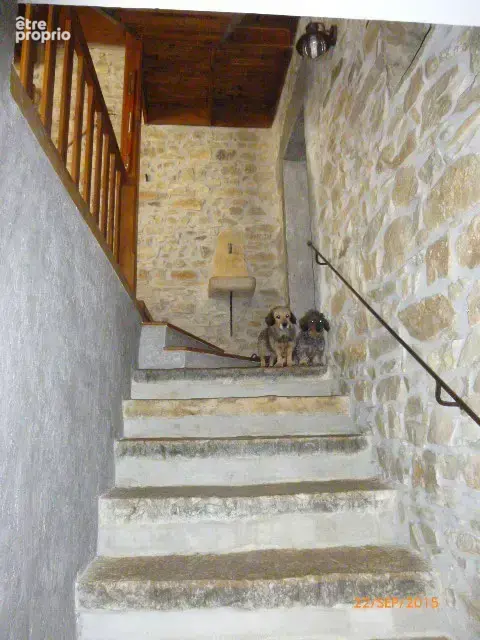 Au cœur des vignes - photo 6