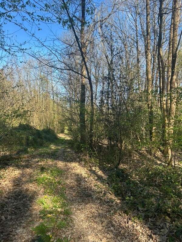 Terrain à LE VIEIL-BAUGE