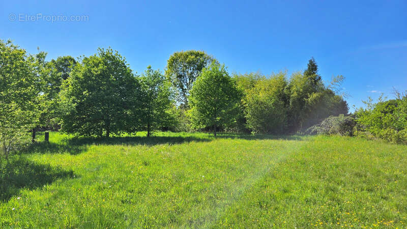 Terrain à ORADOUR-SUR-GLANE
