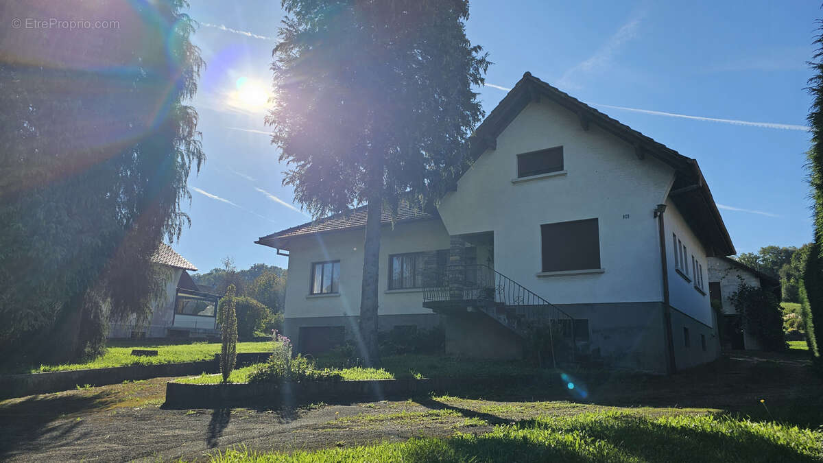 Maison à WITTERSDORF