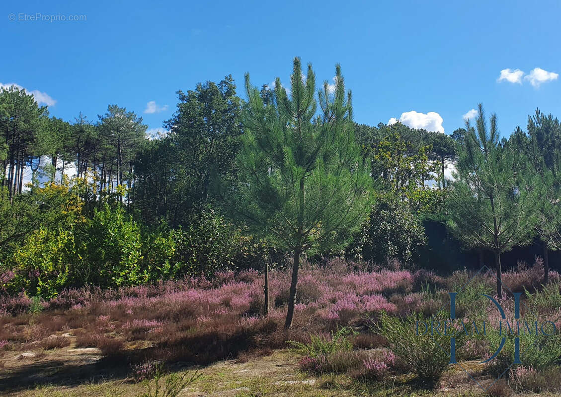 Maison à MOLIETS-ET-MAA