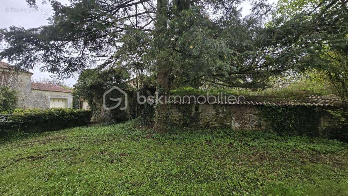 Maison à SAINT-ANDRE-DE-LIDON