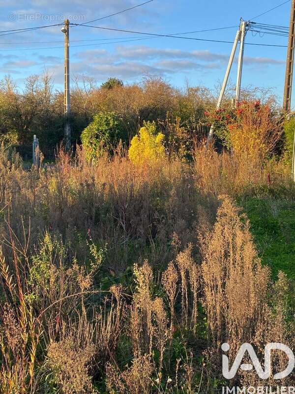 Photo 5 - Terrain à LURY-SUR-ARNON
