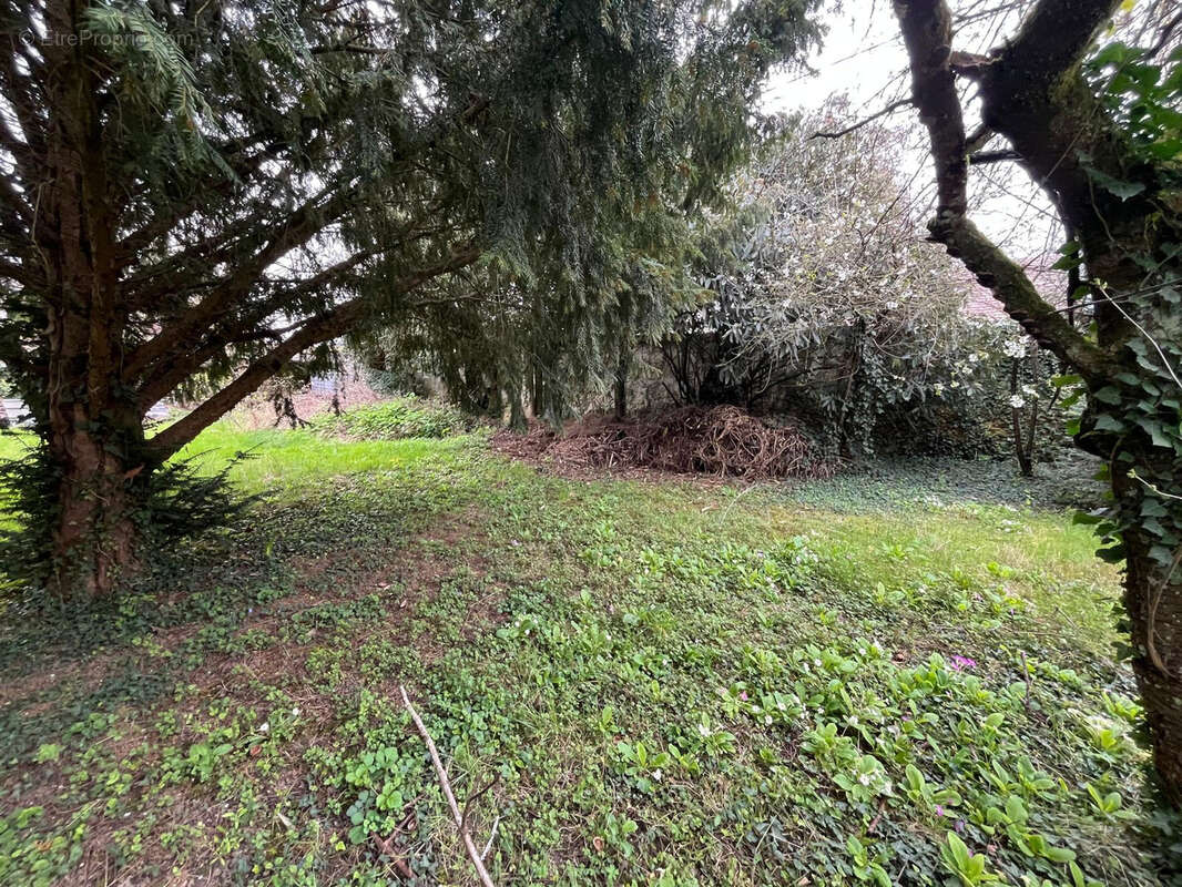 Guignes (77390) — Terrain à bâtir de 334 m2 — Zone constructible - photo 3