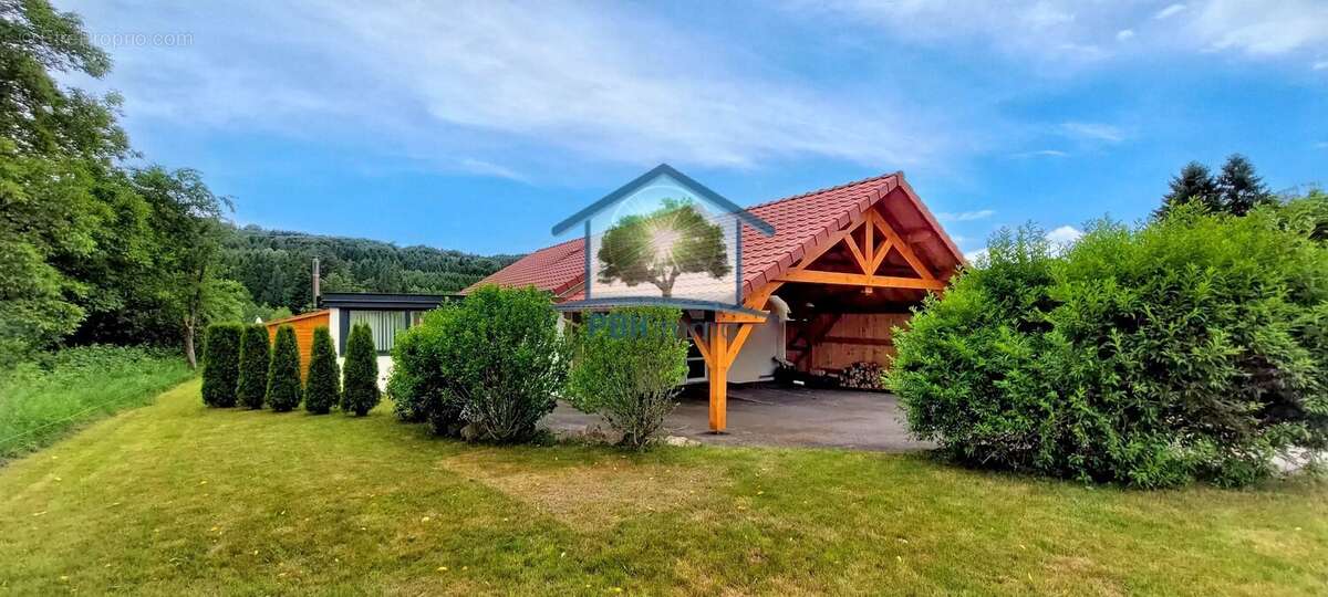 TENDON (88) - Maison 5 pièces 115m2 avec Carport sur 8,73 ares. - photo 2