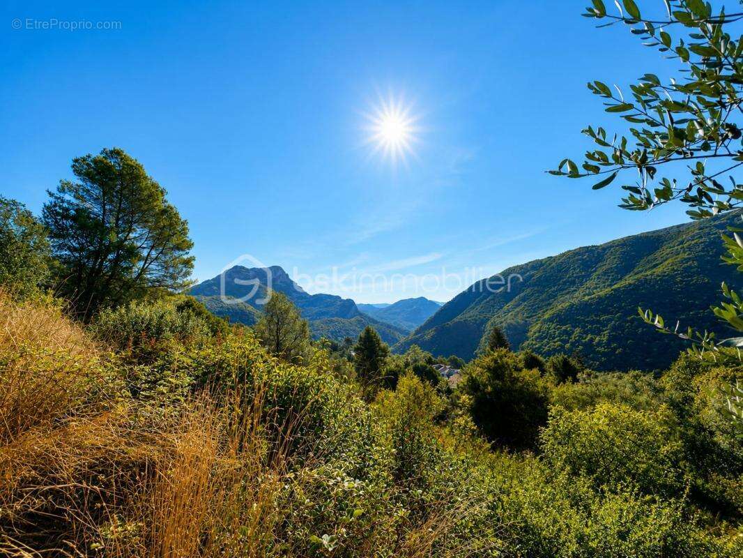 Terrain constructible 2 126 m² – Permis purgé – 325 m² de surface de plancher - photo 7