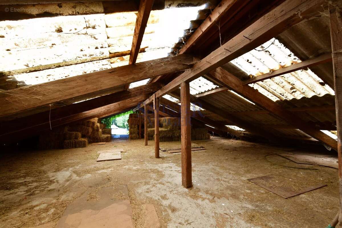 Demeure atypique avec installations équestres – Terrain de 16 832 m² - photo 21