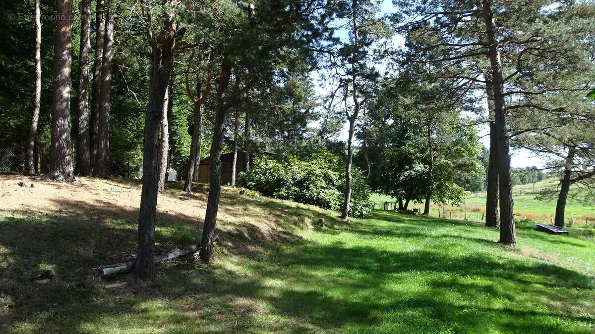 Terrain à SAINT-PAL-DE-MONS