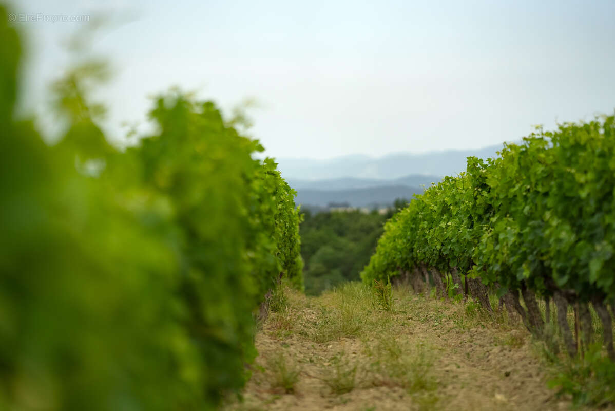 Maison à BELVEZE-DU-RAZES