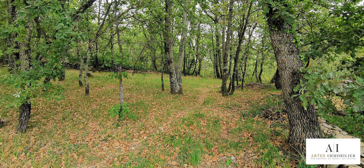 Terrain à COUX