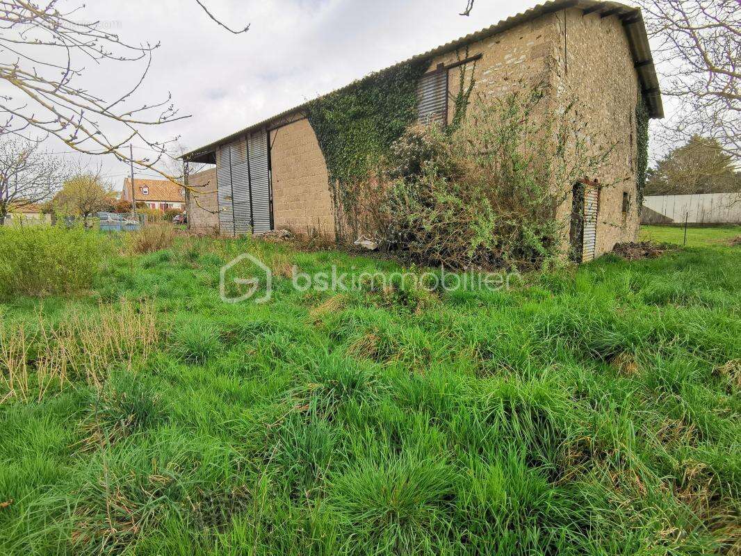 Terrain à SAINT-GEORGES-LES-BAILLARGEAUX