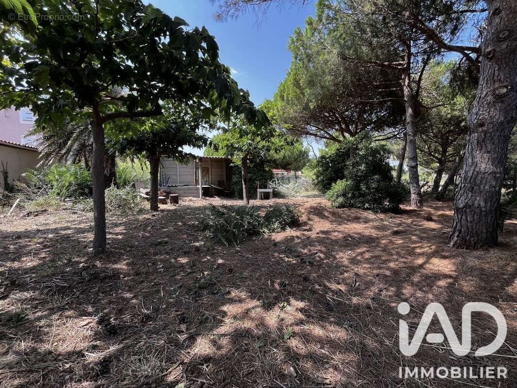 Terrain 1041 m² à Le Barcares  - photo 3