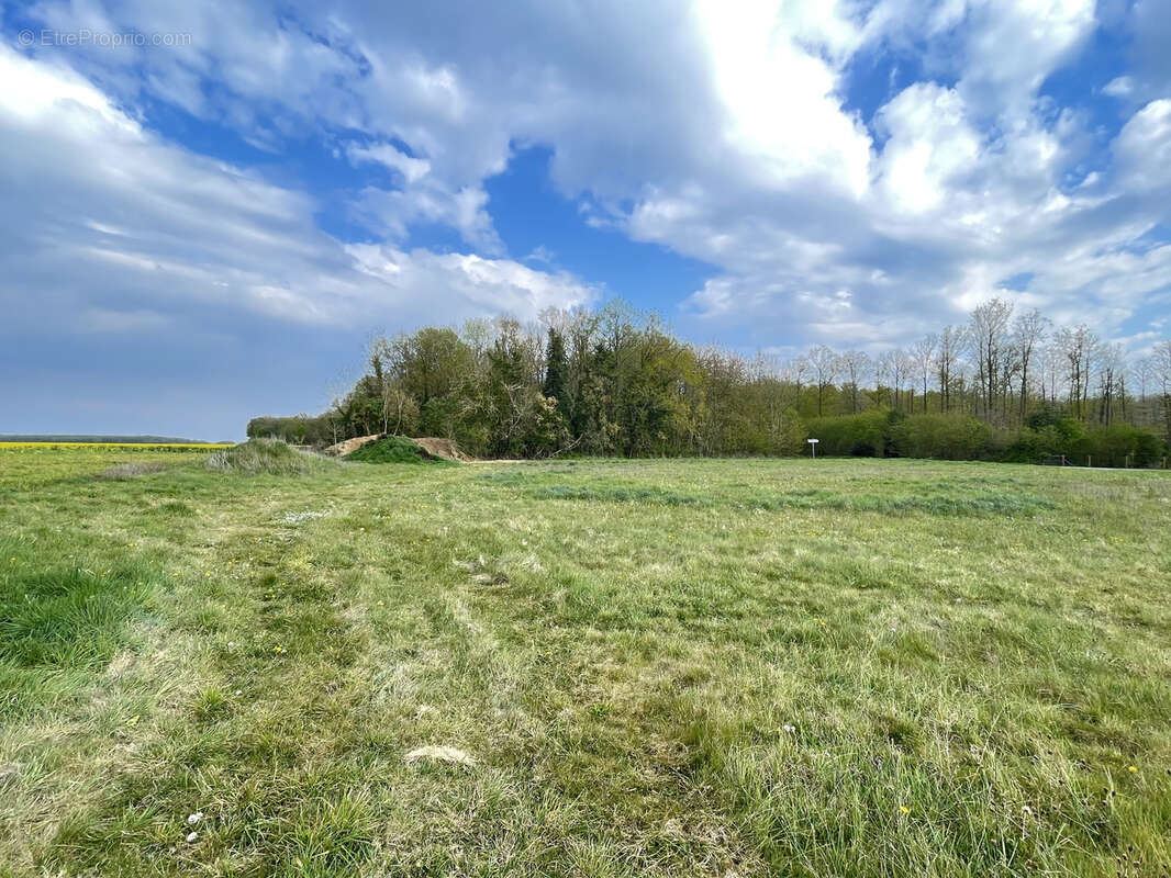 Terrain à CIERREY