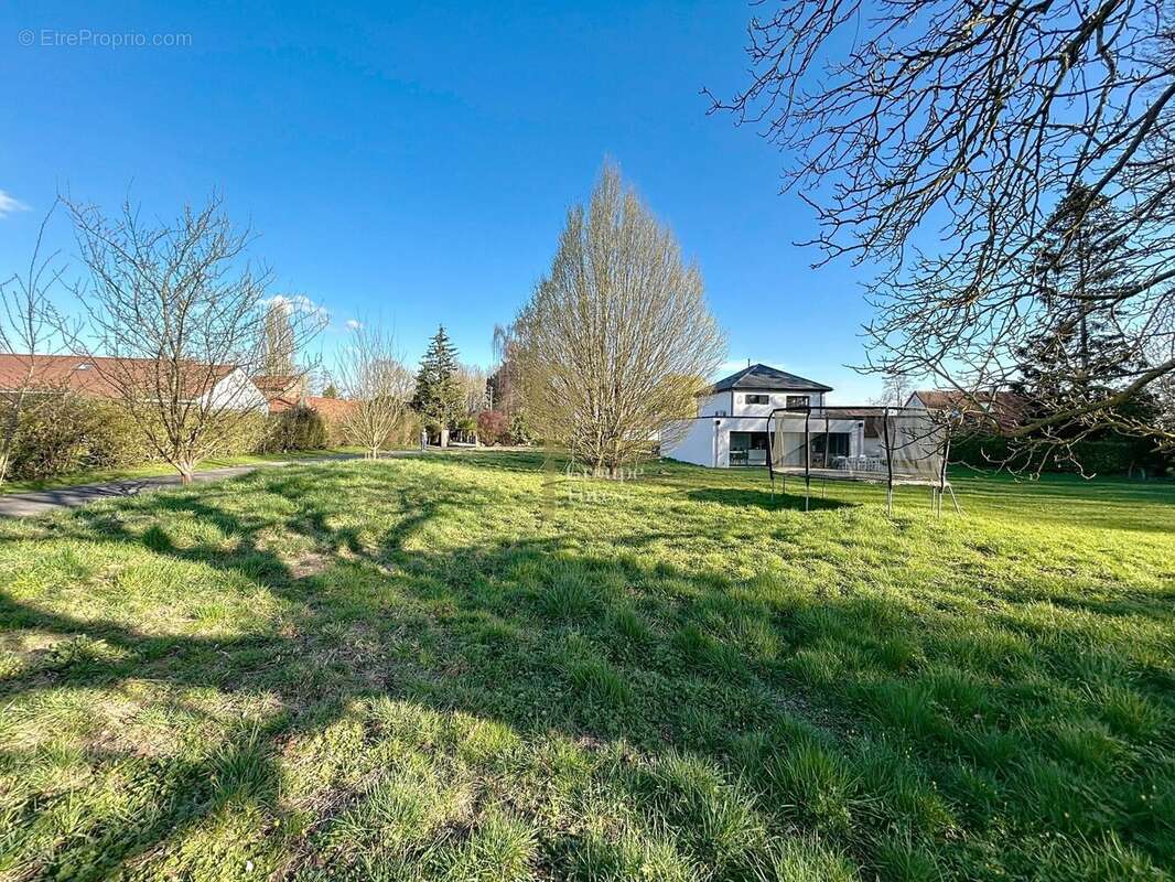 Terrain à SAILLY-LEZ-LANNOY