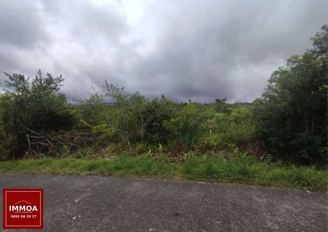 Terrain à SAINT-BENOIT